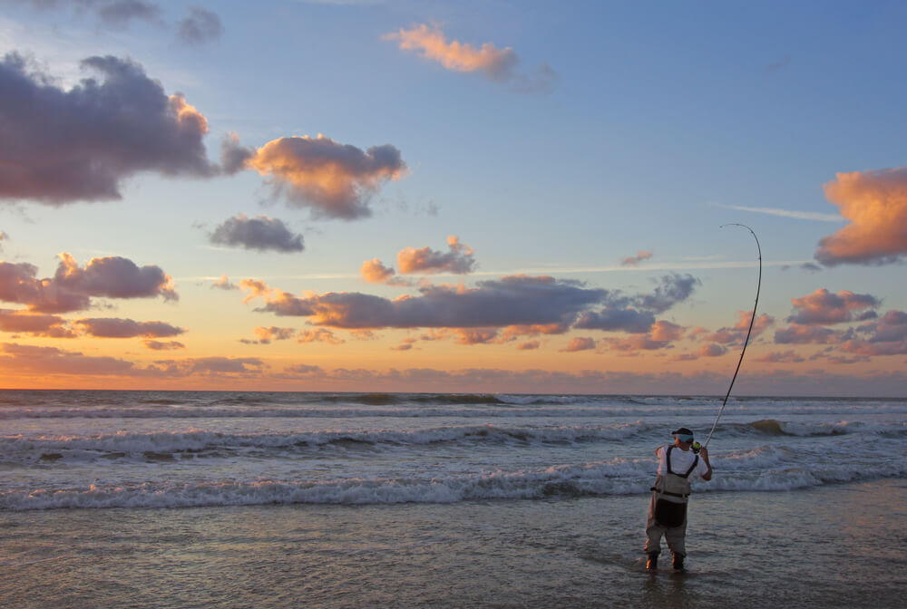 Cast Your Line Surf Fishing on the Oregon Coast < Tolovana Inn, Cannon  Beach, OR
